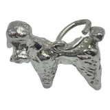 charm