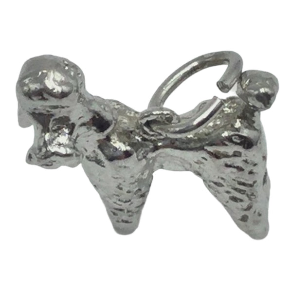 charm